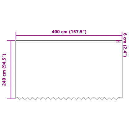 Lace Curtain with Curtains Floral White 240 x 400 cm Polyester