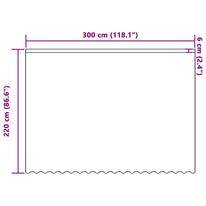Lace Curtain with Curtains Floral White 220 x 300 cm Polyester