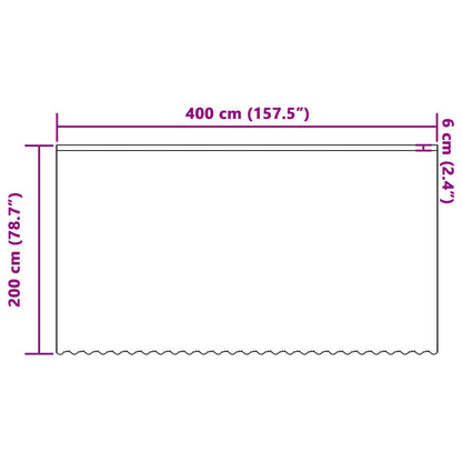 Lace Curtain with Curtains Floral White 200 x 400 cm Polyester
