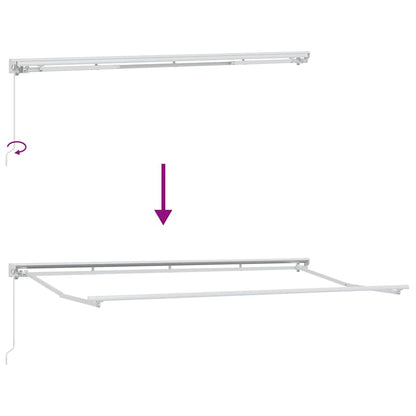Awning Frame Manual Adjustable White 4 x 2 m Steel