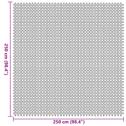 Tent Carpet Anthracite 250 x 250 cm Polyester
