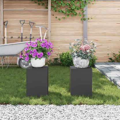 Plant Stand 2 pcs Black 24 x 24 x 35 cm Steel
