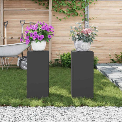Plant Stand 2 pcs Black 24 x 24 x 55 cm Steel