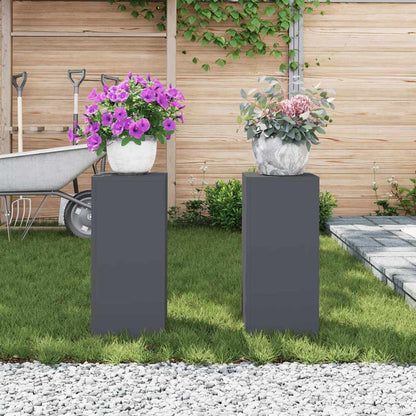 Plant Stand 2 pcs Anthracite 24 x 24 x 55 cm Steel