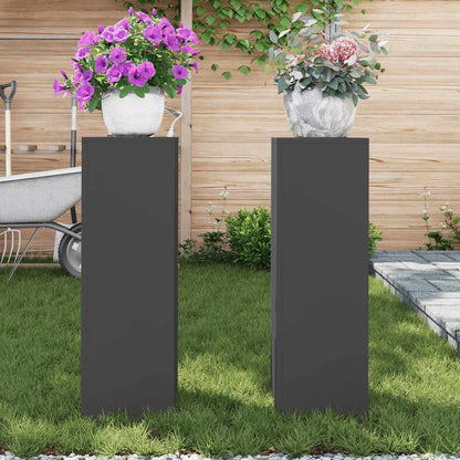 Plant Stand 2 pcs Black 24 x 24 x 75 cm Steel