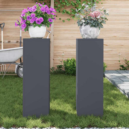 Plant Stand 2 pcs Anthracite 24 x 24 x 75 cm Steel