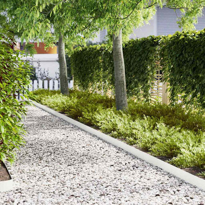 Lawn Edging 20 pcs White 100 x 0.05 x 15 cm Cold Rolled Steel