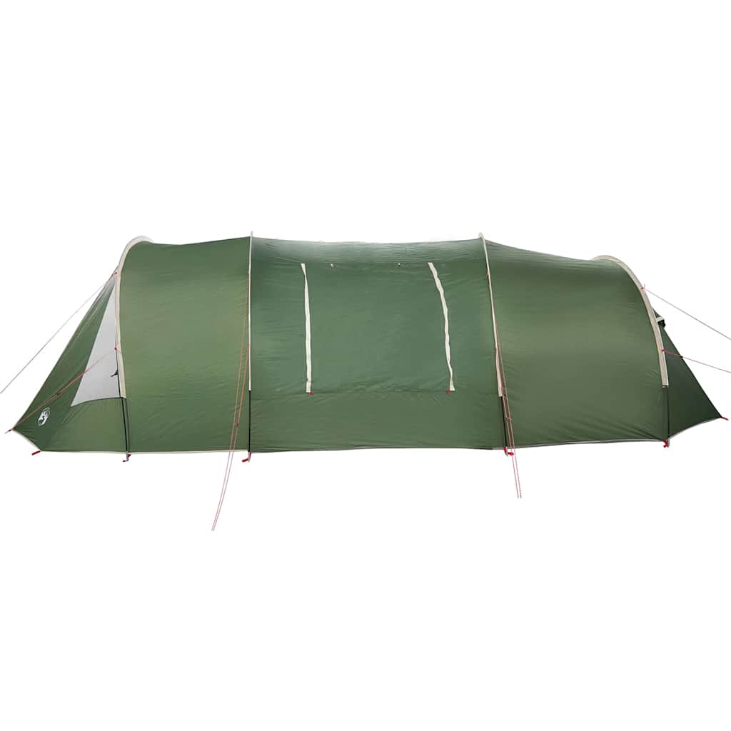 Tunnel Tent with Roof Green and White 805 x 405 x 211 cm