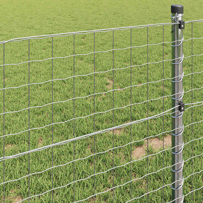 Euro Fence 0.6 x 10 m PVC-coated iron