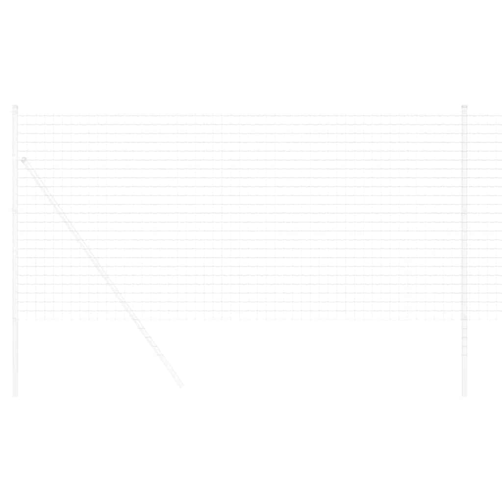 Euro Fence 1.2 x 10 m PVC-coated iron