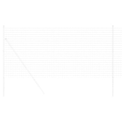 Euro Fence 1.4 x 10 m PVC-coated iron