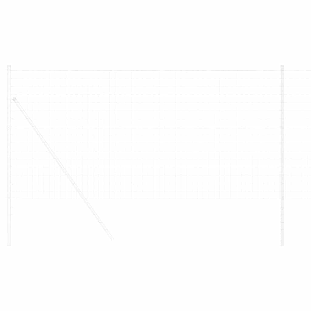 Euro Fence 1.2 x 10 m PVC-coated iron