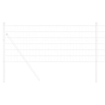 Euro Fence 0.6 x 10 m PVC-coated iron