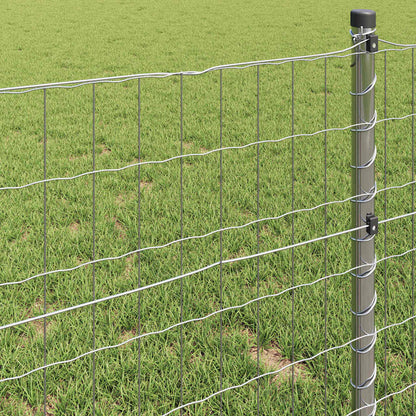 Euro Fence 1.4 x 10 m PVC-coated iron