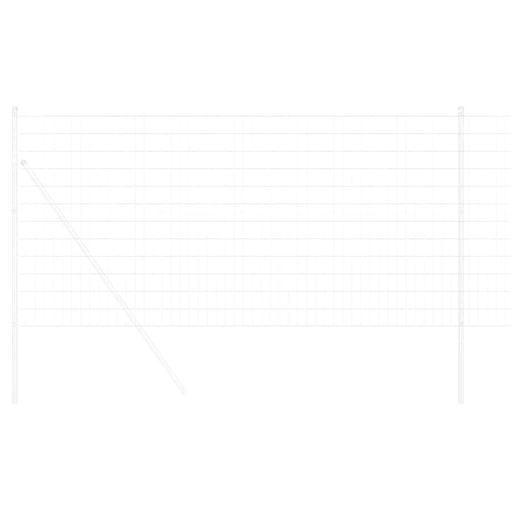 Euro Fence 1.4 x 10 m PVC-coated iron