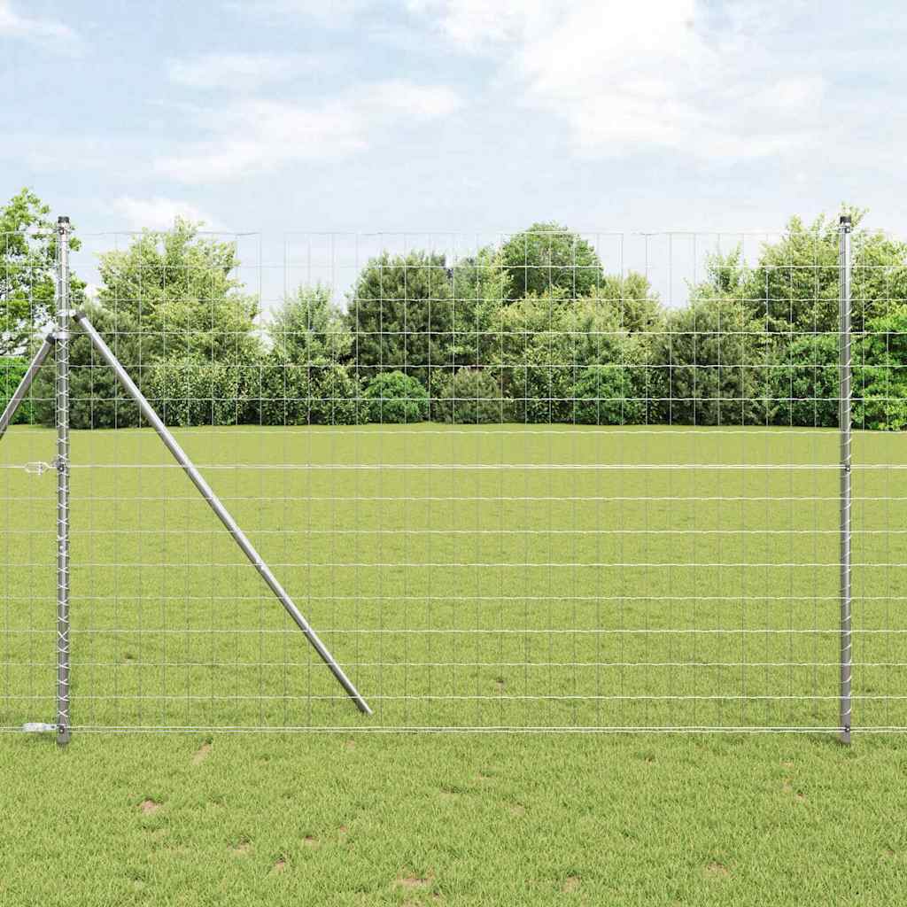 Euro Fence 1.6 x 10 m PVC-coated iron