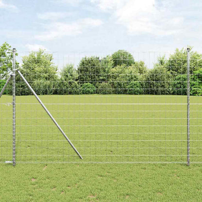 Euro Fence 1.6 x 10 m PVC-coated iron