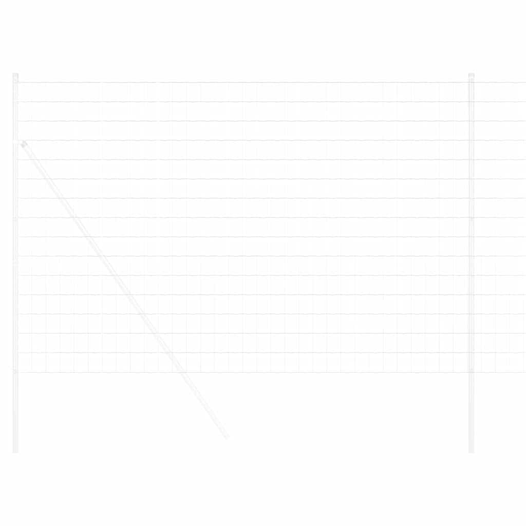Euro Fence 1.6 x 10 m PVC-coated iron