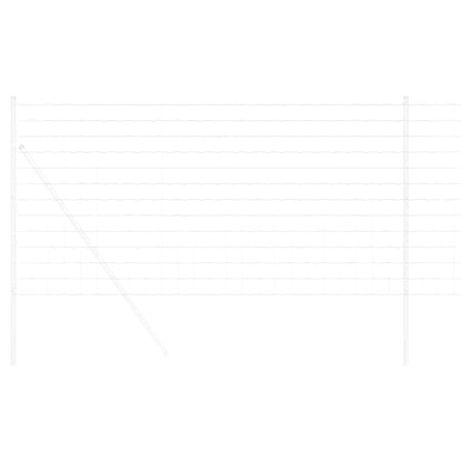 Euro Fence 1.4 x 10 m PVC-coated iron