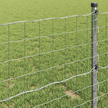 Euro Fence 1 x 10 m PVC-coated iron