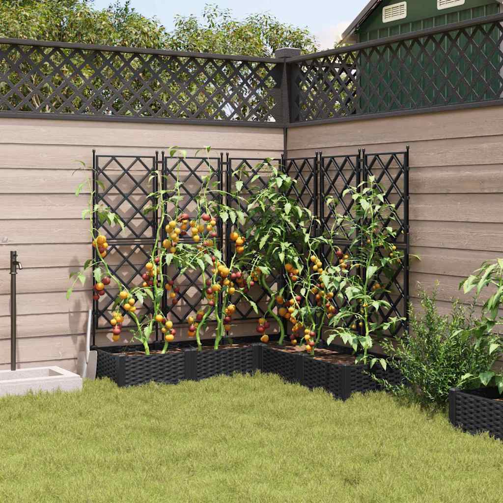 Garden Planter 5 pcs Black 120 x 120 x 125.5 cm Plastic