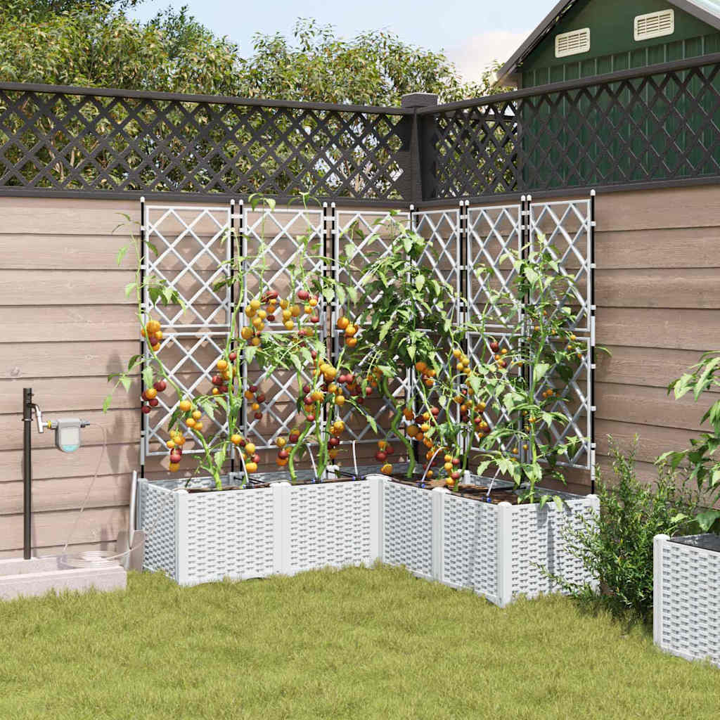 Garden Planter 5 pcs White 120 x 120 x 142 cm Plastic