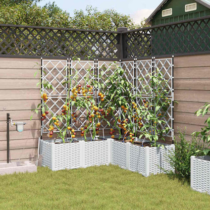 Garden Planter 5 pcs White 120 x 120 x 142 cm Plastic