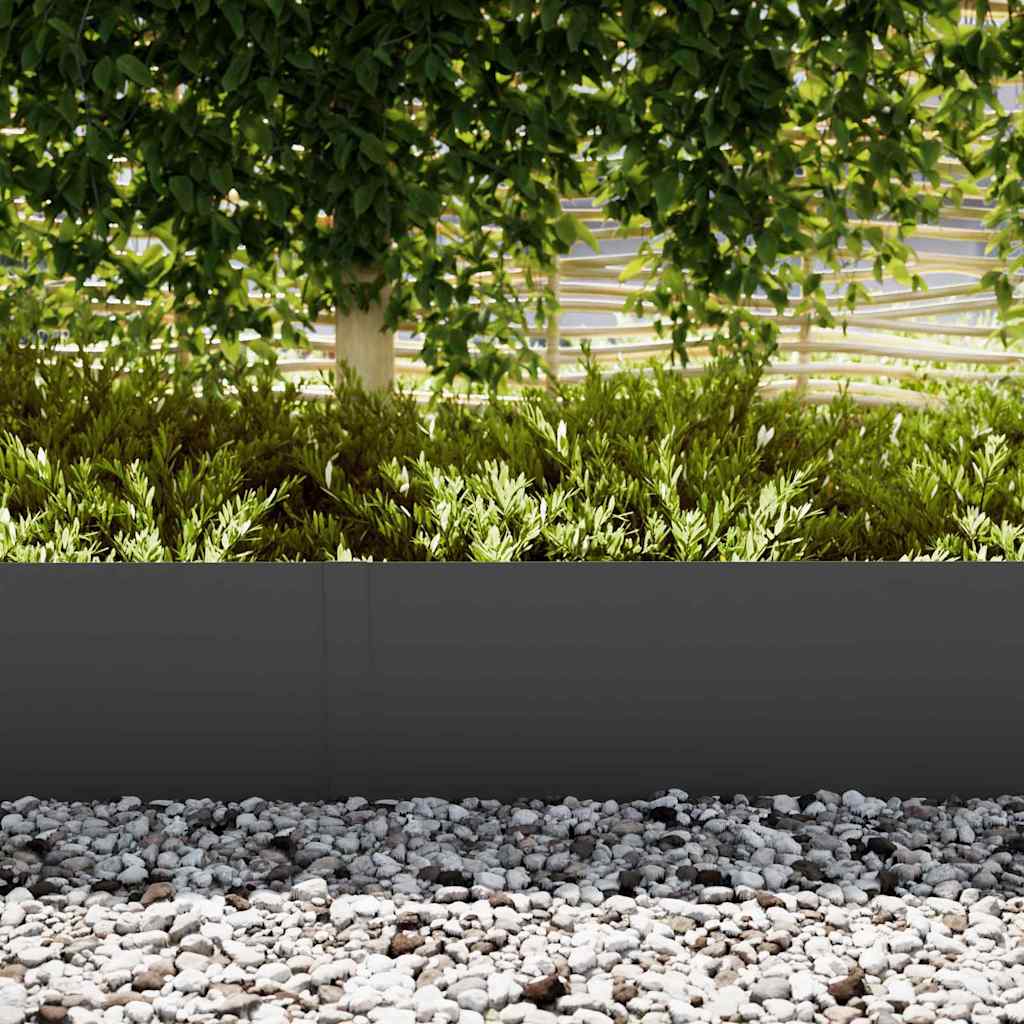 Lawn Edging 30 pcs Black 100 x 0.05 x 30 cm Cold Rolled Steel