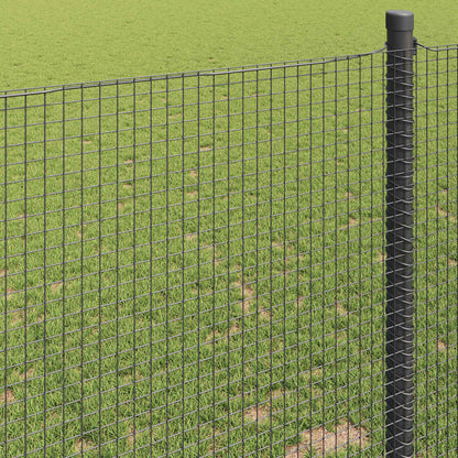 Welded Wire Fence Grey 1 x 50 m
