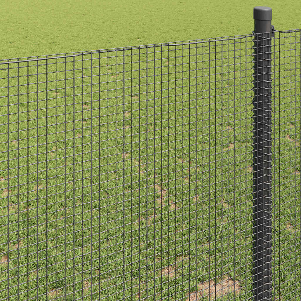 Welded Wire Fence Grey 0.5 x 100 m