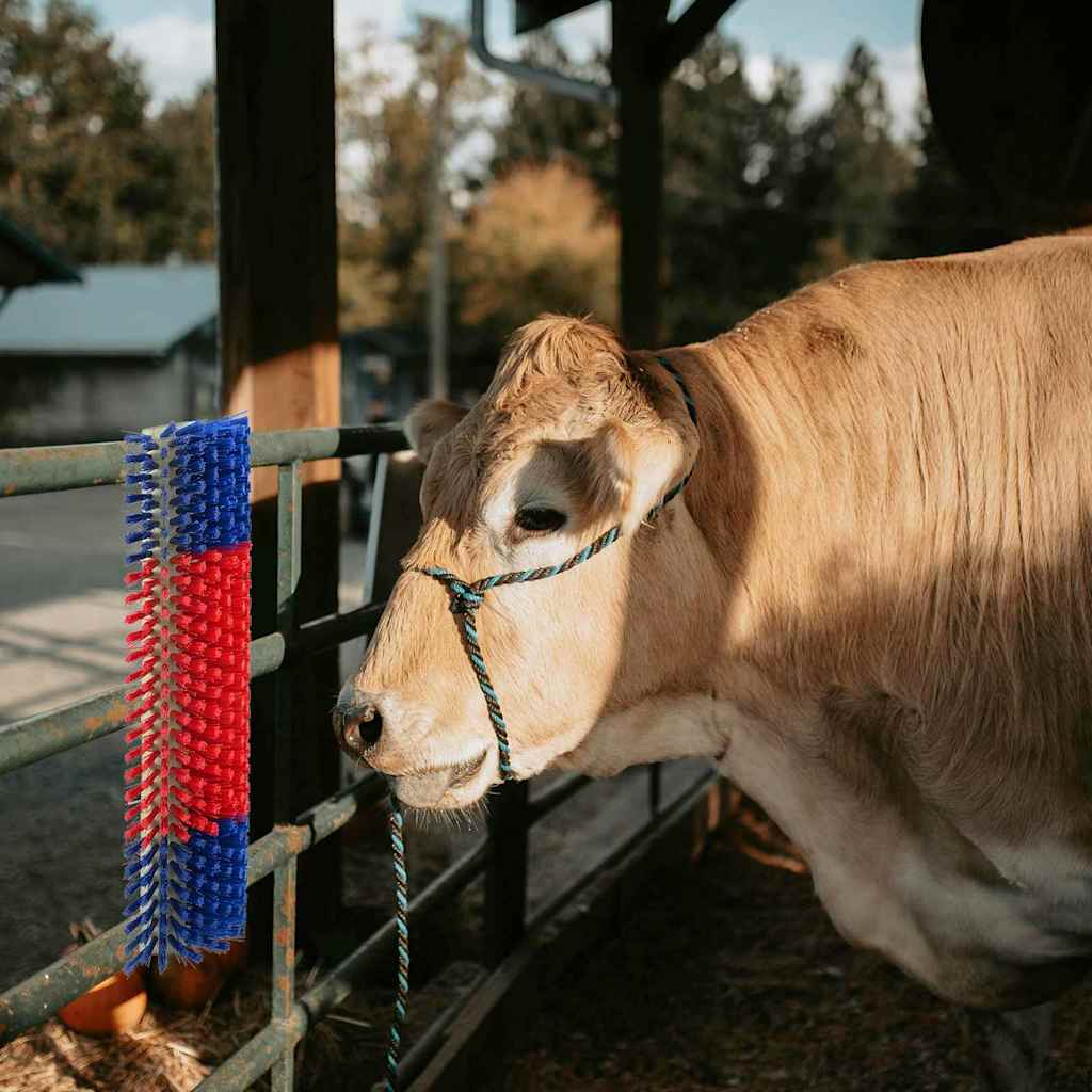 Cattle Brushes Red and Blue 50 x 17 x 9 cm Plastic and Steel
