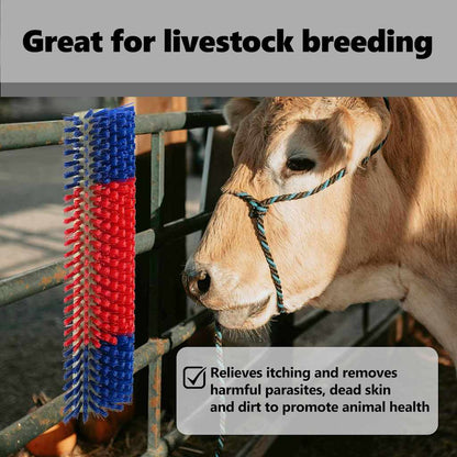 Cattle Brushes Red and Blue 50 x 17 x 9 cm Plastic and Steel