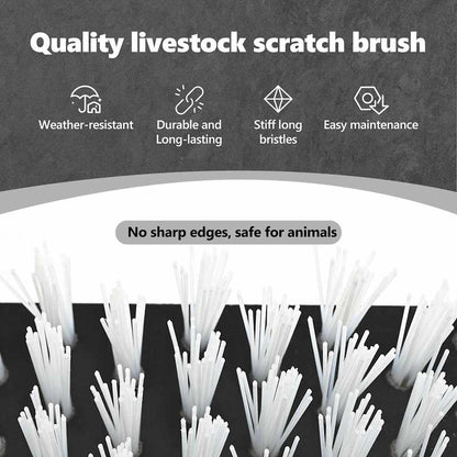 Cattle Brushes Black and White 50 x 10 x 6.5 cm