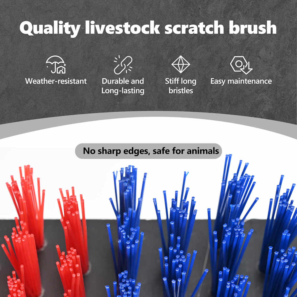Cattle Brushes Red and Blue 50 x 10 x 6.5 cm Plastic and Steel