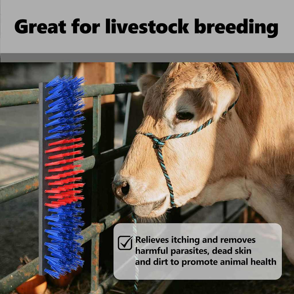 Cattle Brushes Red and Blue 50 x 10 x 6.5 cm Plastic and Steel