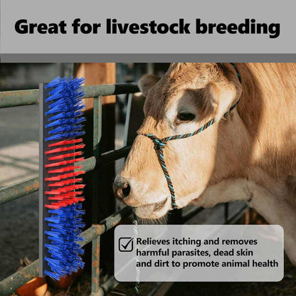 Cattle Brushes Red and Blue 50 x 10 x 6.5 cm Plastic and Steel