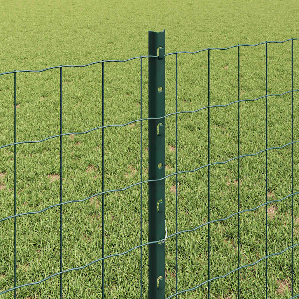 Welded Wire Fence 10 x 0.8 m (W x H) PVC-Coated Steel Green