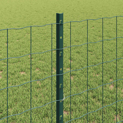 Welded Wire Fence 10 x 0.8 m (W x H) PVC-Coated Steel Green