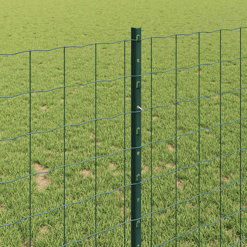 Fence with Post Green 1 x 25 m Steel
