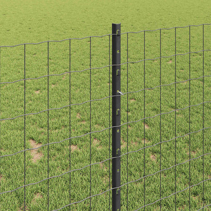 Welded Wire Fence 10 x 1 m (W x H) PVC-Coated Steel Grey Mesh