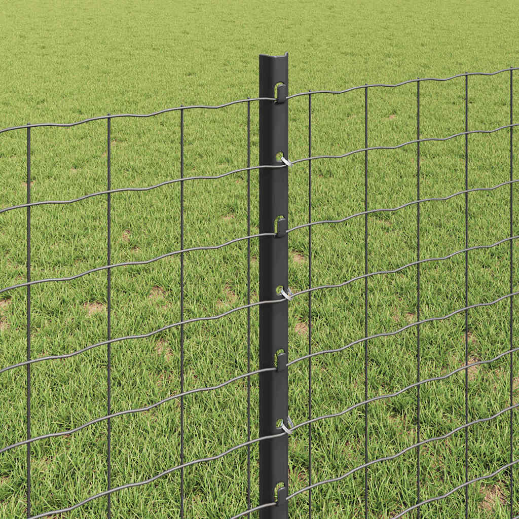 Welded Wire Fence 25 x 0.8 m (W x H) PVC-Coated Steel Grey Mesh