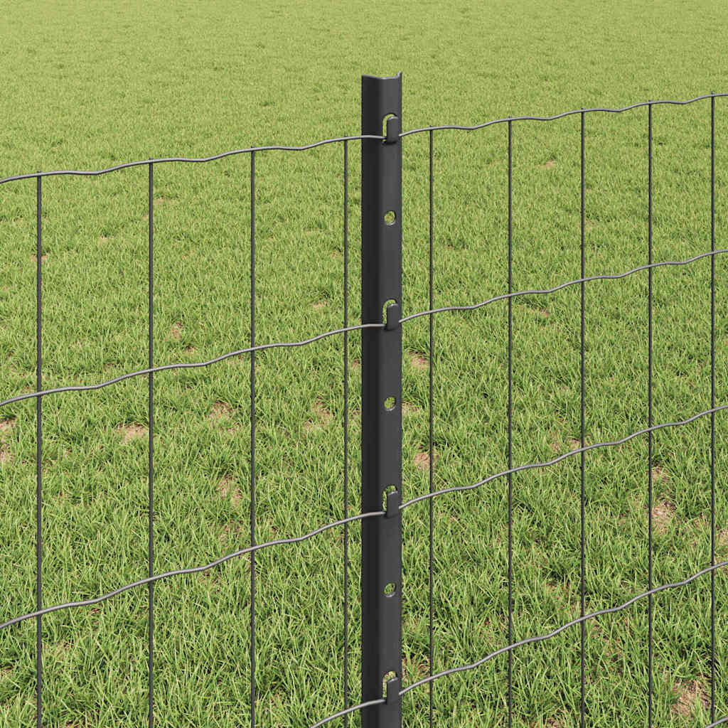 Welded Wire Fence 25 x 0.8 m (W x H) PVC-Coated Steel Grey Mesh