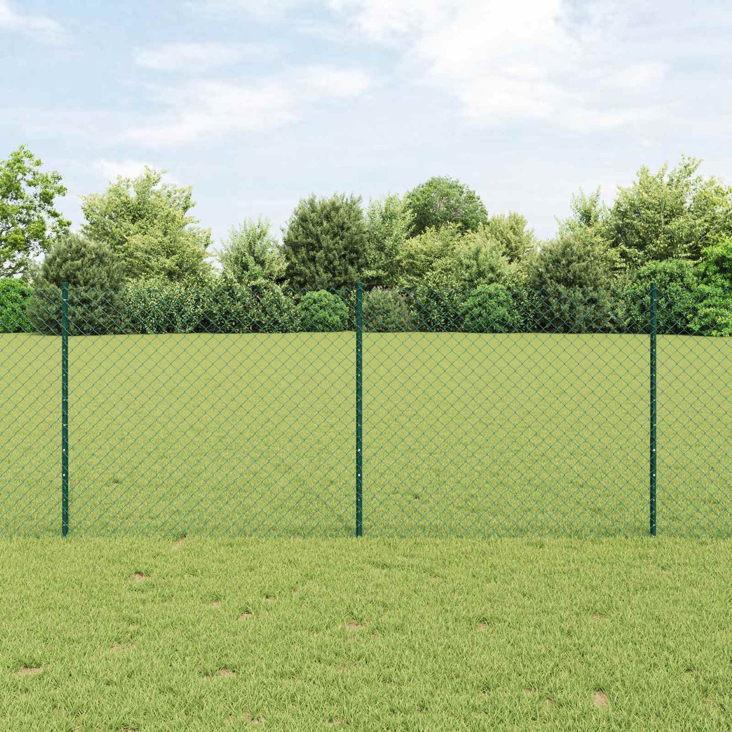 Chain Link Fence with Post 10 x 1 m (W x H) PVC-Coated Steel