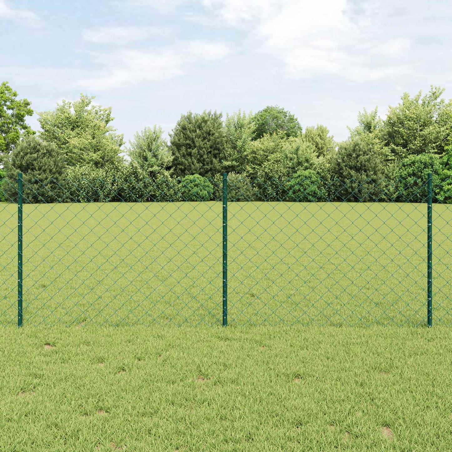 Chainlink Fence with Post 10 x 0.8 m PVC-Coated Steel Green