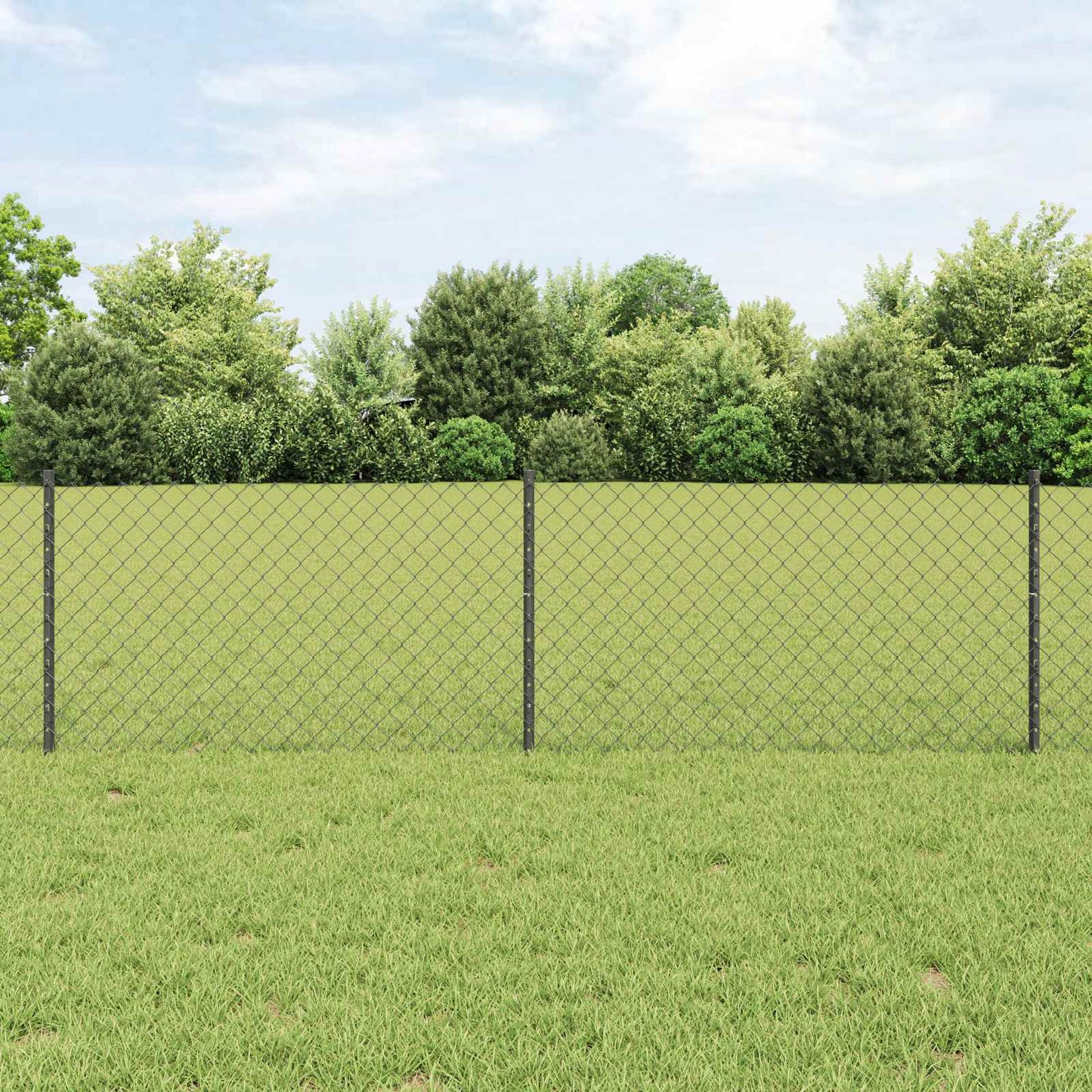 Chain Link Fence with Post 10 x 0.6 m (W x H) PVC-Coated Steel