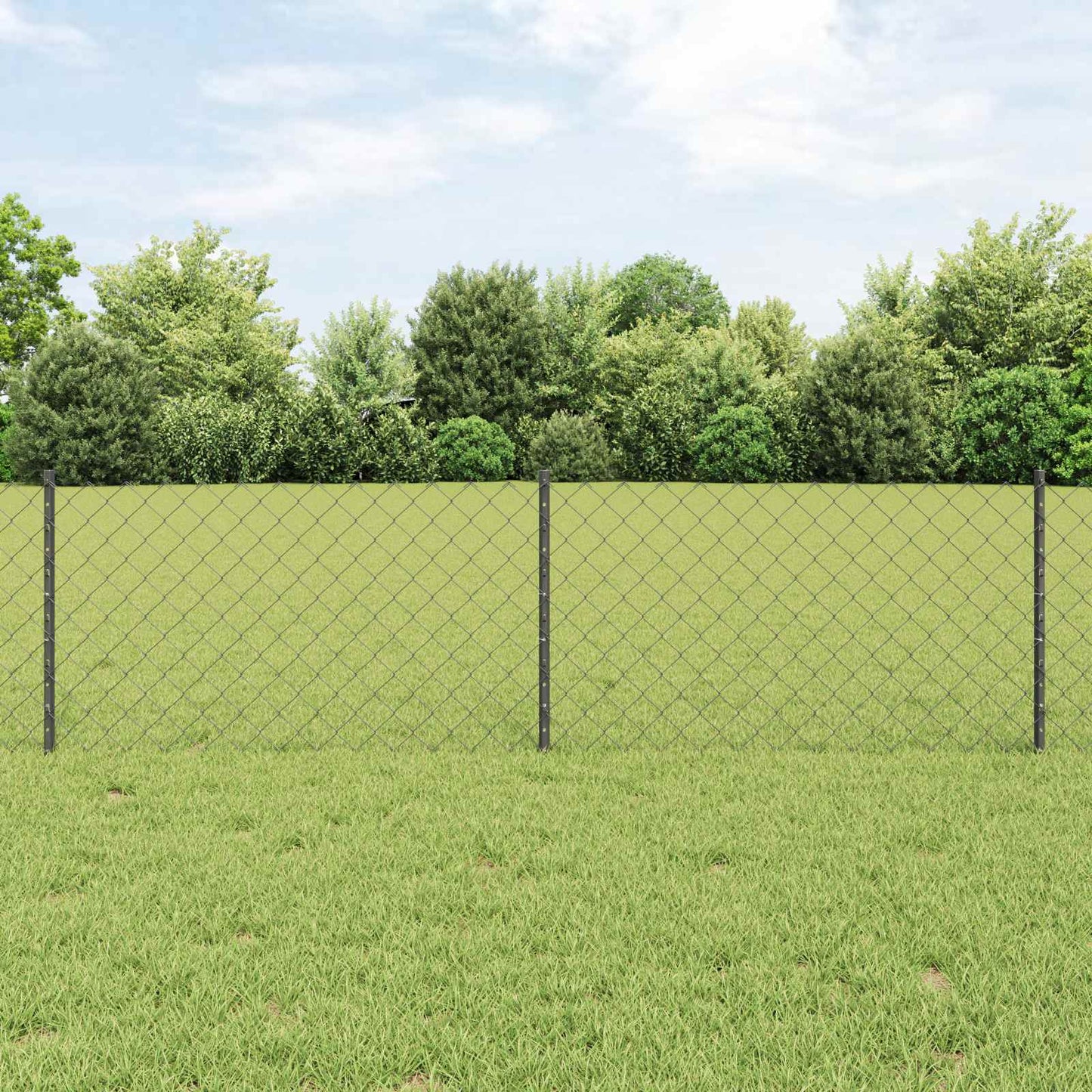 Chain Link Fence with Post 10 x 0.6 m (W x H) PVC-Coated Steel