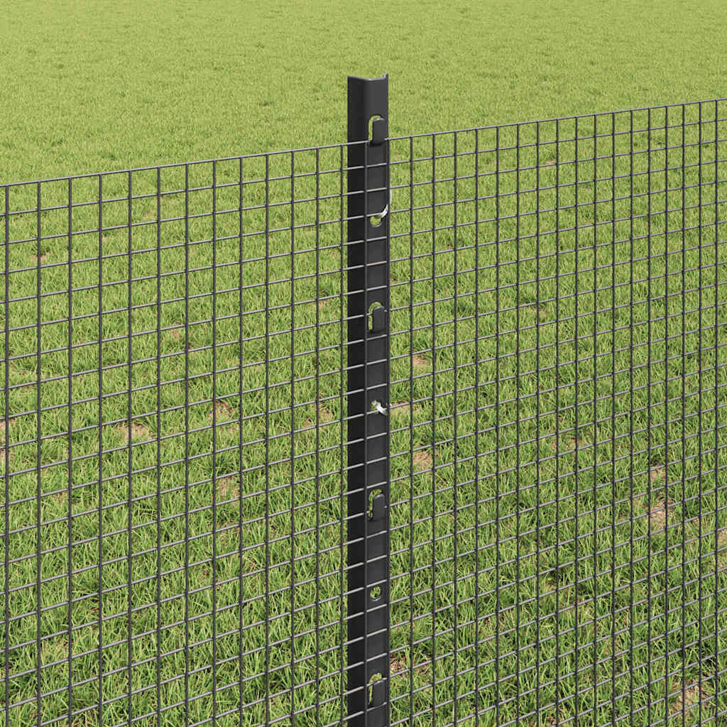 Welded Wire Fence with Post 10 x 0.8 m (W x H) PVC-Coated Steel