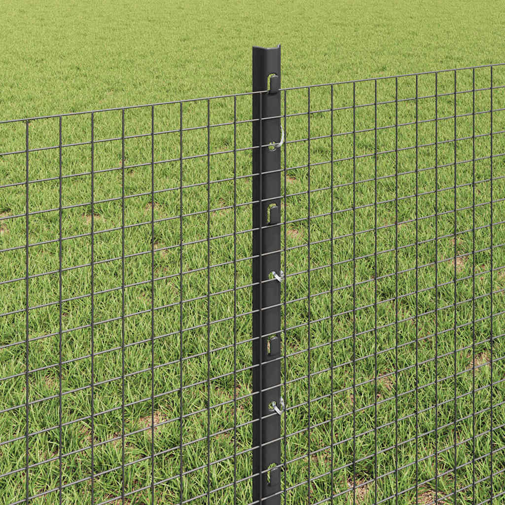 Welded Wire Fence with Post 25 x 0.6 m (W x H) PVC-Coated Steel