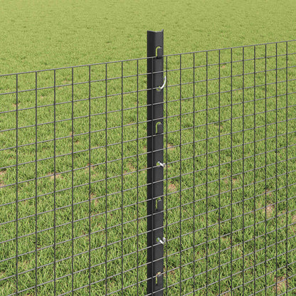 Welded Wire Fence with Post 25 x 0.8 m (W x H) PVC-Coated Steel