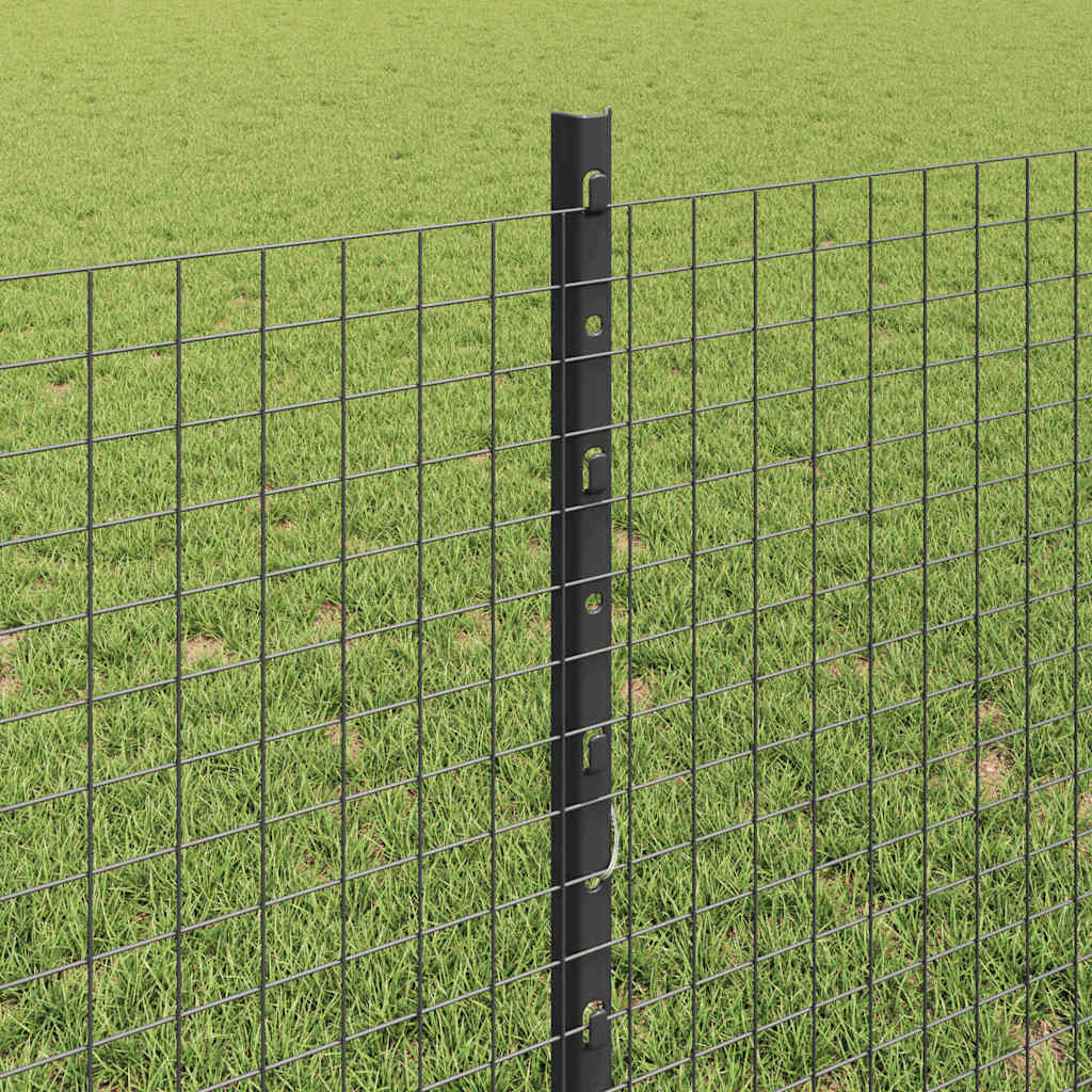 Welded Wire Fence with Post 25 x 0.8 m (W x H) PVC-Coated Steel